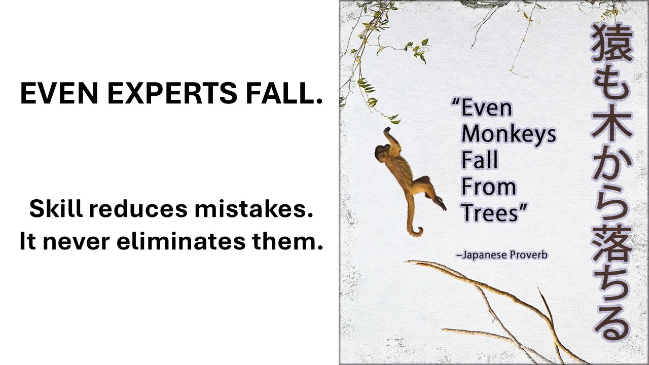 Even-Monkeys-Fall-From-Trees-WordPress